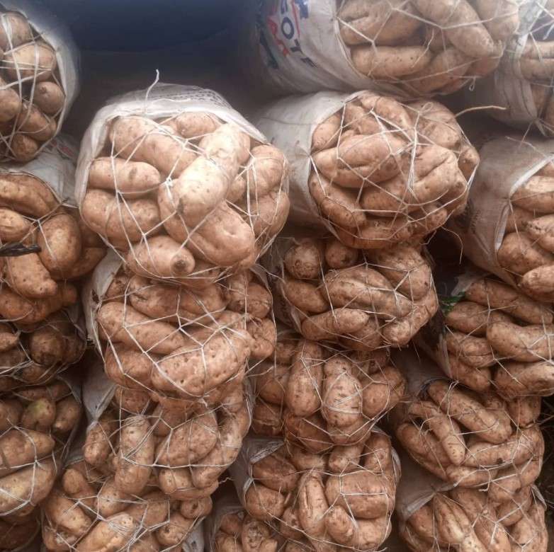 Sweet Potatoes | 100kg - Image 2
