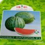 East West Sweet Sangria Watermelon Seeds 10g