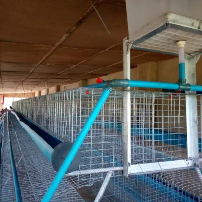 Nigerian Made Battery Cage (96 Birds per Unit)
