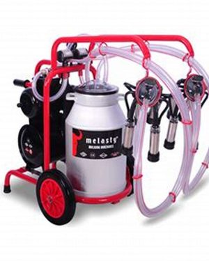 Double Milking Machine for Cows (TK2-AS | 40L)