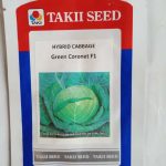 Green Coronet F1 Cabbage Takki Seeds