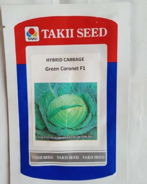 Green Coronet F1 Cabbage Takki Seeds