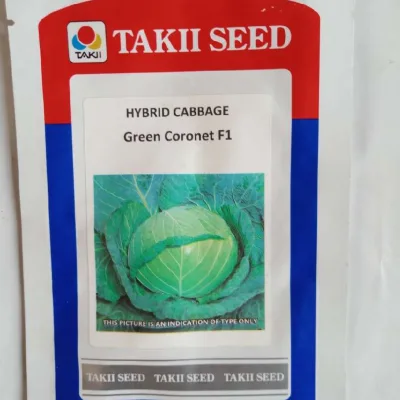 Green Coronet F1 Cabbage (Takki Seeds|5g)