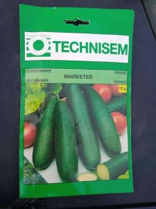 Technisem Cucumber Marketer Seed | 10g