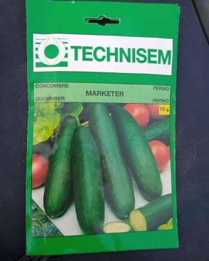 Technisem Cucumber Marketer Seed | 10g