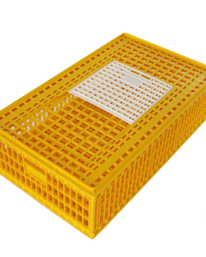 Chicken Transport Crate (Large Size) | 20 -25 Birds Capacity