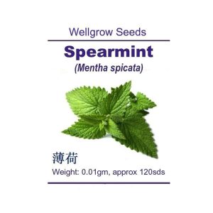 Wellgrow Spearmint