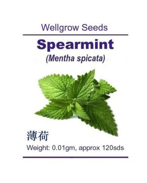 Wellgrow Spearmint