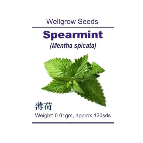 Spearmint (Mentha spicata) Well Grow | 0.01g (120 Seeds)