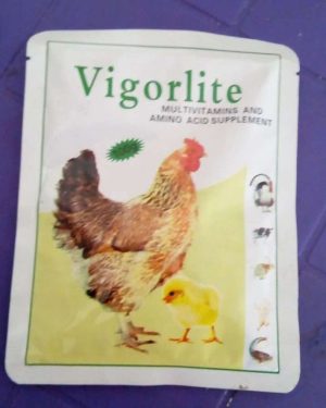 Vigorlite (Multivitamin and Amino Acid Supplement) | 100g