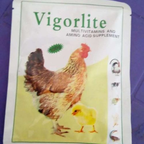 Vigorlite (Multivitamin and Amino Acid Supplement) | 100g