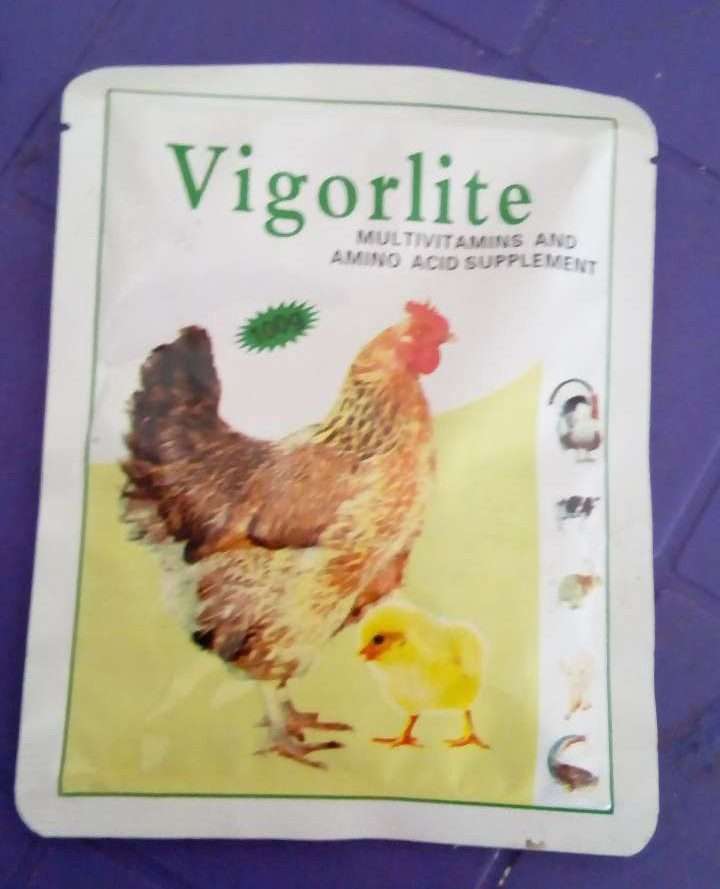 Vigorlite (Multivitamin and Amino Acid Supplement) | 100g