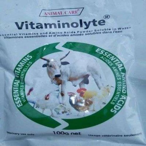 Vitaminolyte | 100gm