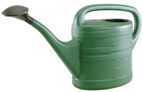Plastic Watering Can | 10L Capacity