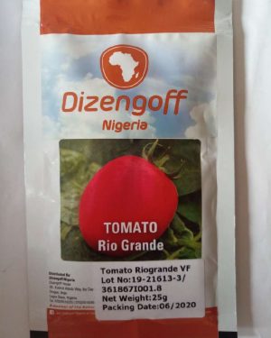 Tomato-Rio Grande (Dizengoff) | 25g
