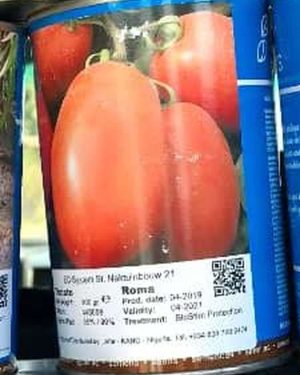 Technisem VF Roma Tomato Seed (100g)