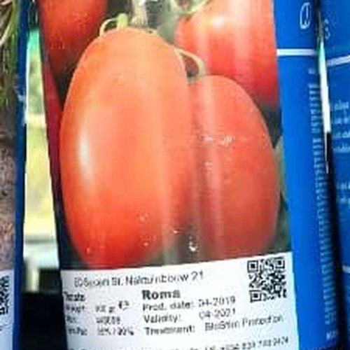 Technisem VF Roma Tomato Seed (100g)