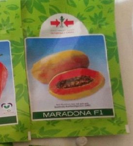 East West Maradona Pawpaw Seed