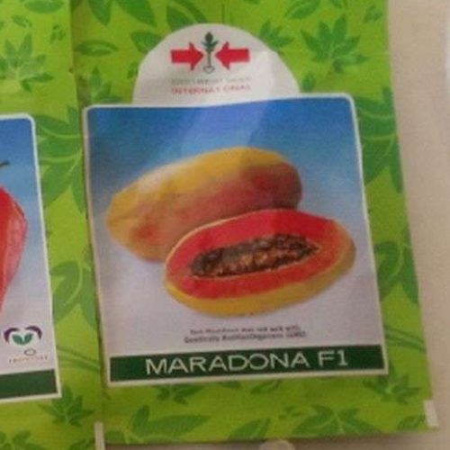 East West Maradona Pawpaw Seed | 100 Seeds