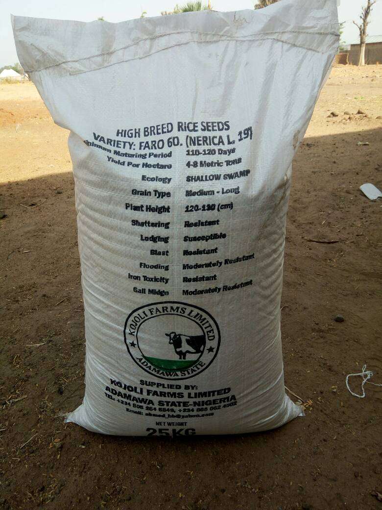 Faro 60 (NERICA L 19) Rice Seed
