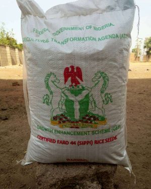 Faro 44 Lowland Rice Seeds