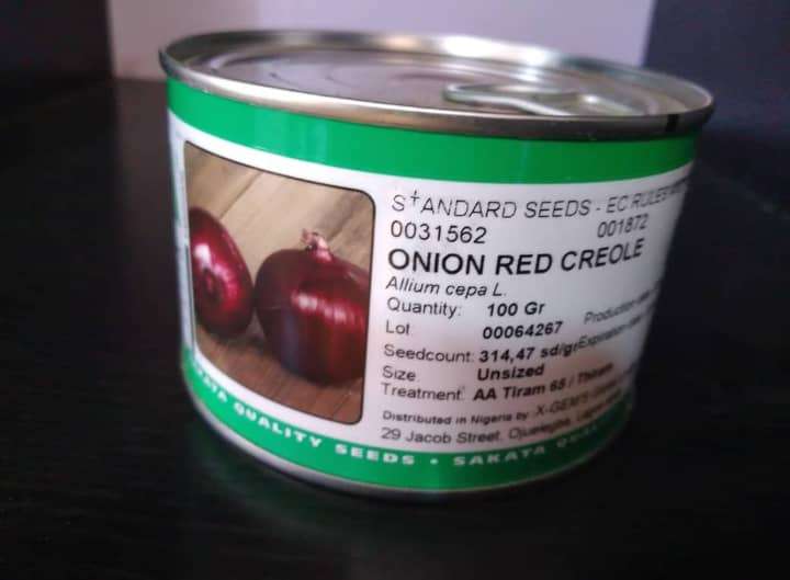 Red Creole Onion Seeds