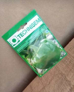 Sweet Pepper - F1 Jason (Technisem | 5g)