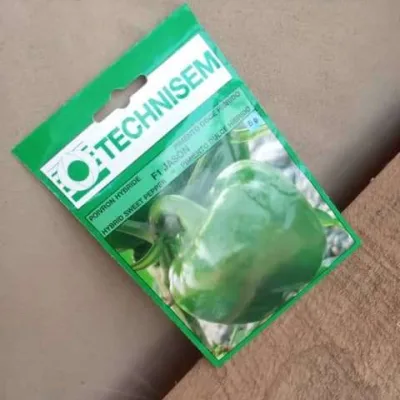 Sweet Pepper – F1 Jason (Technisem | 5g)