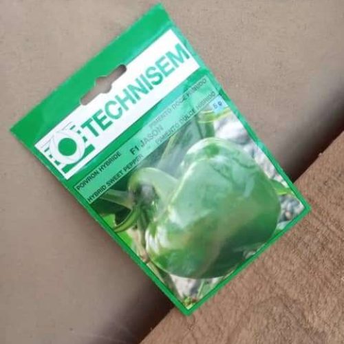 Sweet Pepper – F1 Jason (Technisem | 5g)