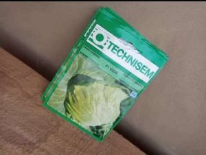 F1 Vizir Cabbage Seeds (Technisem | 5g)