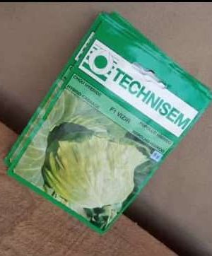 F1 Vizir Cabbage Seeds (Technisem | 5g)