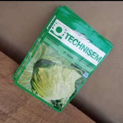 F1 Vizir Cabbage Seeds (Technisem | 5g)