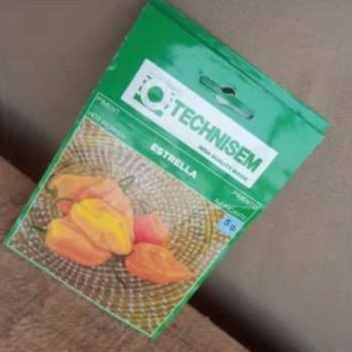 Estrella Hot Pepper Seeds (Technisem | 5g)