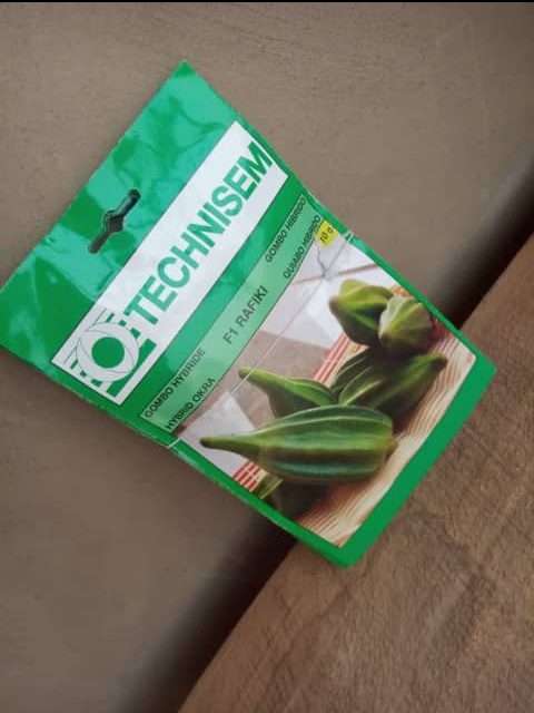 Rafiki F1 Hybrid Okra (Technisem | 10g)