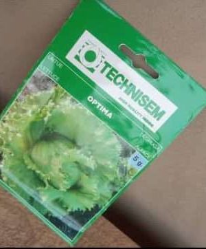 Optima Lettuce Seeds (Technisem | 10g)