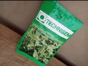 Kaha Long Green Bean Seeds (Technisem)