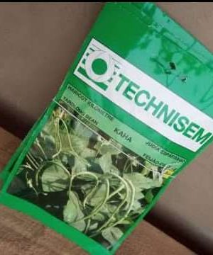 Kaha Long Green Bean Seeds (Technisem)