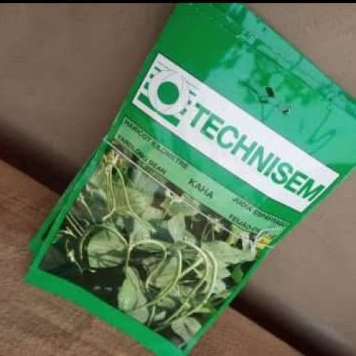 Kaha Long Green Bean Seeds (Technisem)
