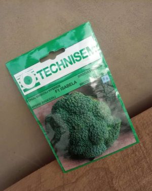 Isabela F1 Broccoli (Technisem | 5g)