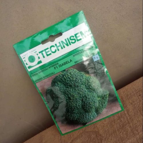 Isabela F1 Broccoli (Technisem | 5g)