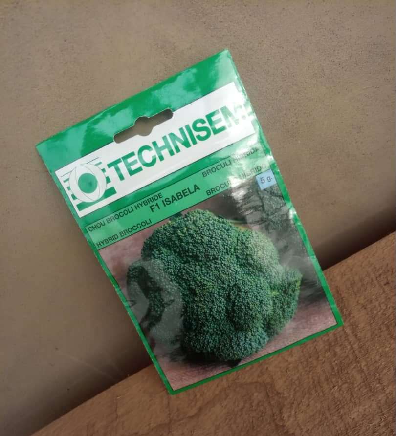 Isabela F1 Broccoli (Technisem | 5g)
