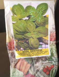 Basil Genovese Hortus Sementi