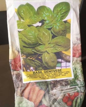 Basil Genovese Hortus Sementi