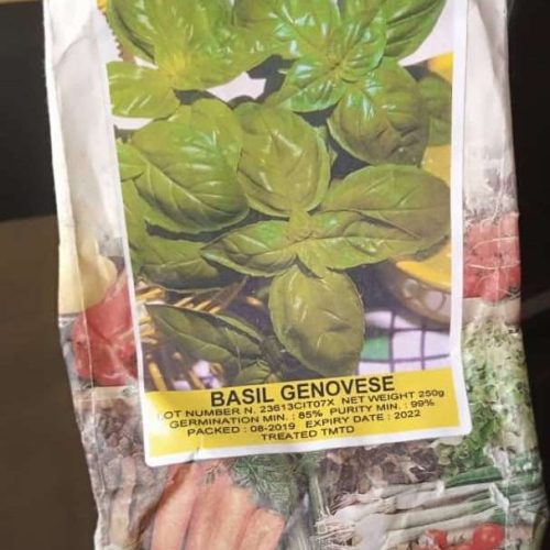 Basil Genovese (Hortus Sementi | 250g)