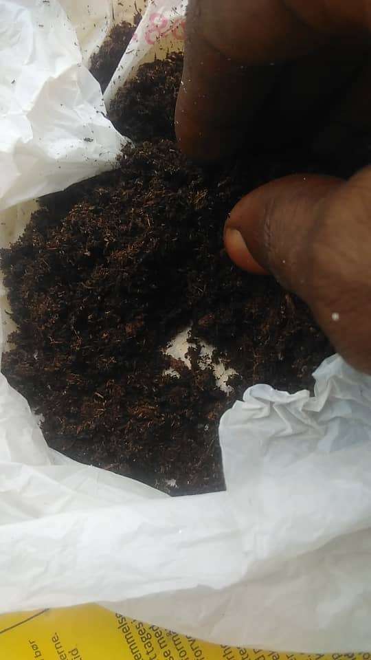 Peat Moss - 5kg - Image 2