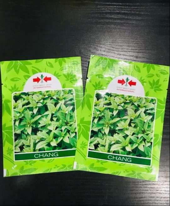 East West Chang Sweet Basil seed