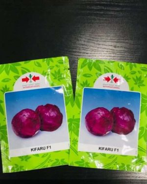 East West Kifaru F1 Cabbage Seed | 500 Seeds