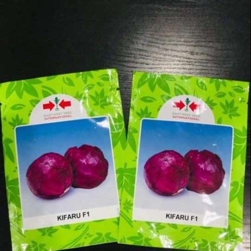 East West Kifaru F1 Cabbage Seed | 500 Seeds