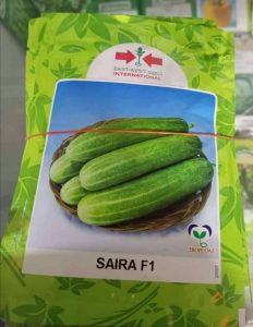 East West Saira F1 Cucumber (10g)