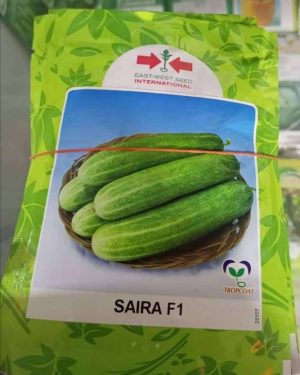 East West Saira F1 Cucumber (10g)